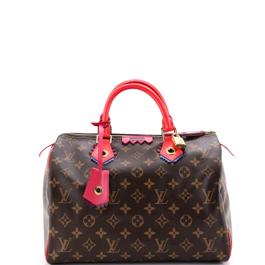 Louis Vuitton Speedy Handbag Limited