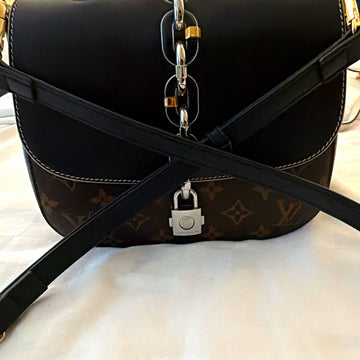 Louis Vuitton Small Brown Crossbody Top