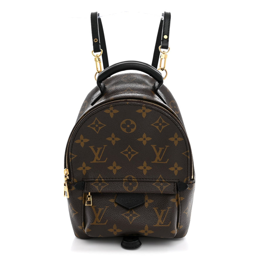 Louis Vuitton Palm Springs Backpack Mini