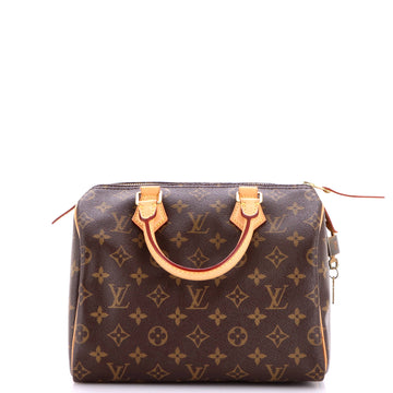 Louis Vuitton Speedy Handbag Canvas 25