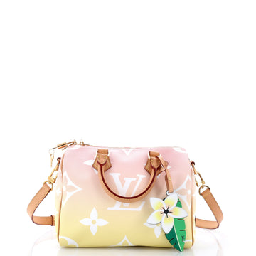 Louis Vuitton Speedy Bandouliere Bag By