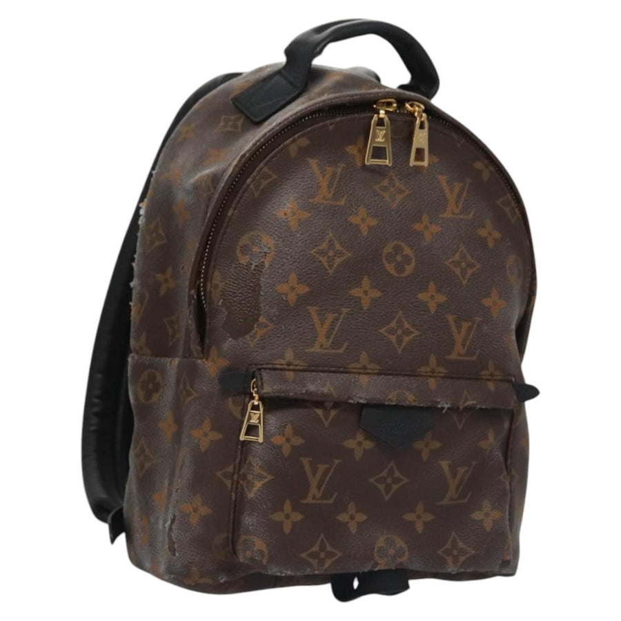Louis Vuitton Palm Springs Pm Backpack