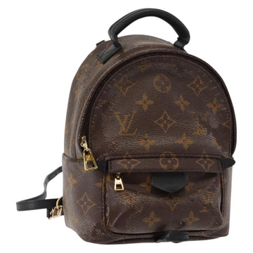 Louis Vuitton Palm Springs Mini Backpack
