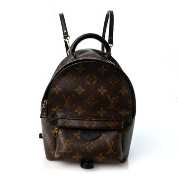 Louis Vuitton Palm Springs Backpack Mini