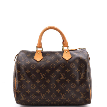 Louis Vuitton Speedy Handbag Canvas 30