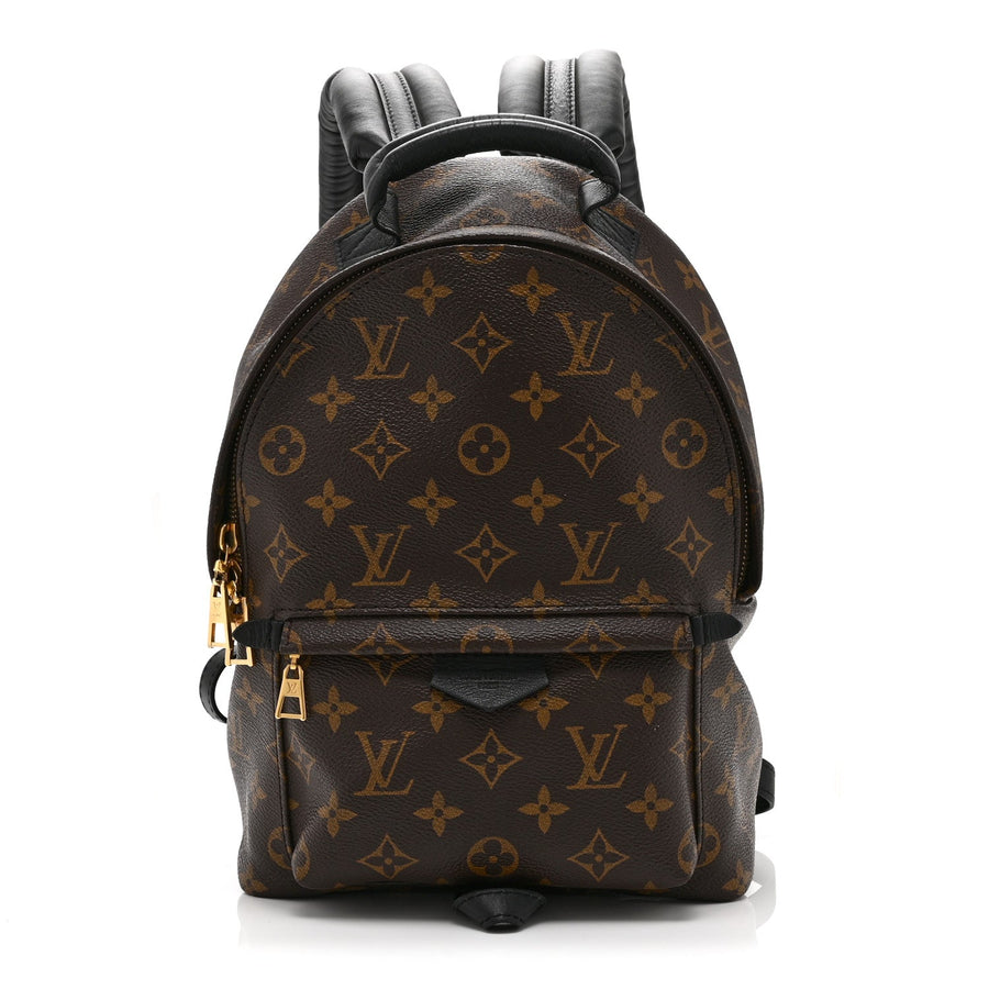 Louis Vuitton Palm Springs Backpack Pm