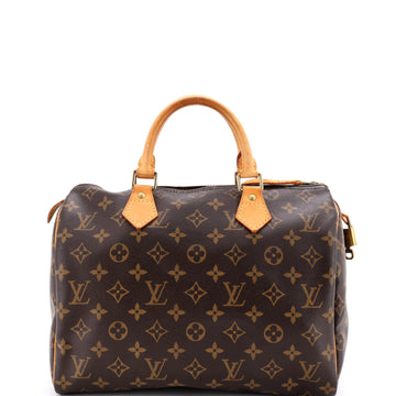 Louis Vuitton Speedy Handbag Canvas 30