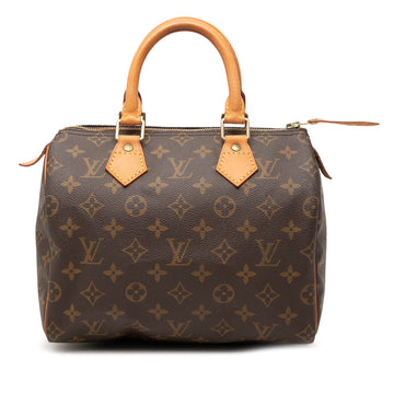 Louis Vuitton Speedy Handbag Canvas 25