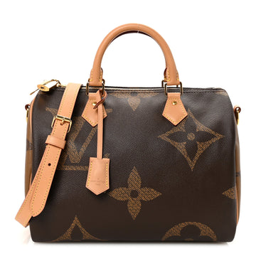Louis Vuitton Reverse Giant Speedy
