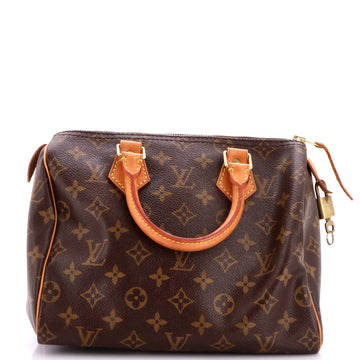 Louis Vuitton Speedy Handbag Canvas 25