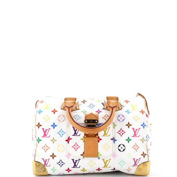 Louis Vuitton Speedy Handbag Multicolor