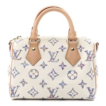 Louis Vuitton Jacquard Fabric Speedy