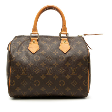 Louis Vuitton Speedy Handbag Canvas 25