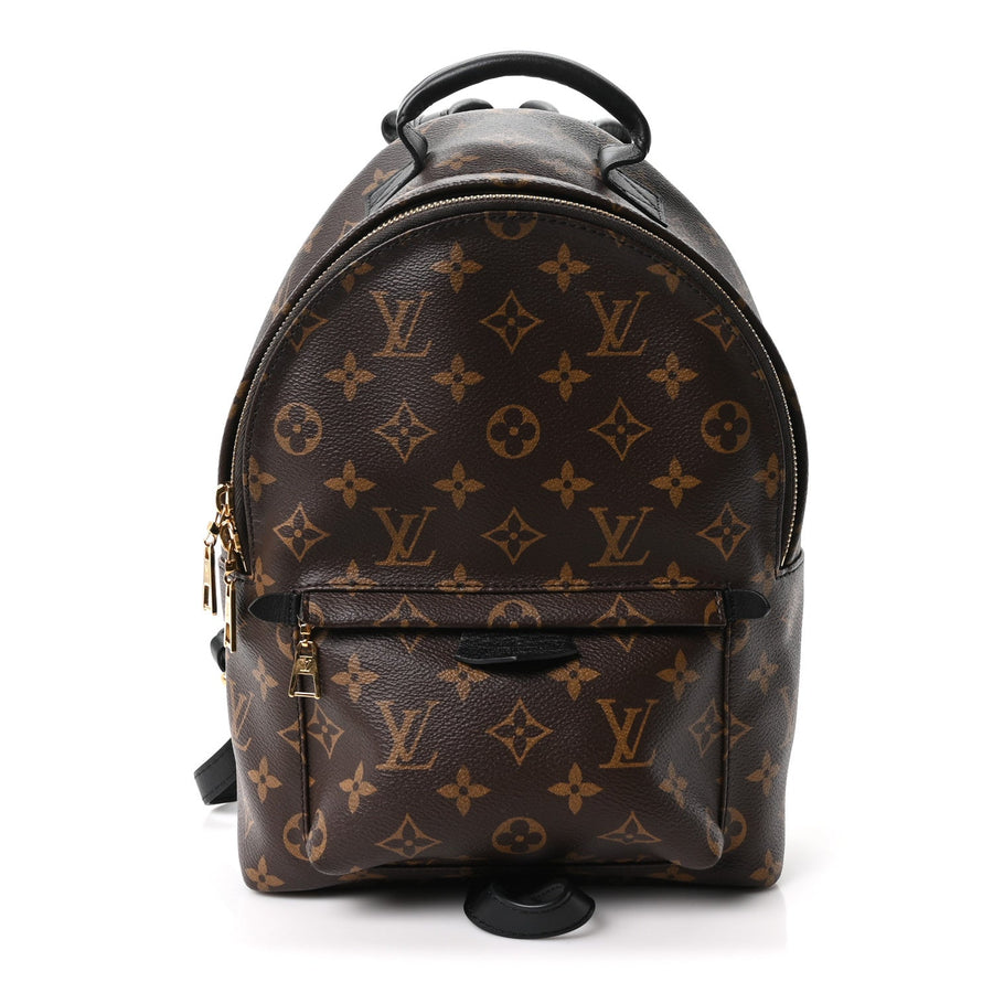 Louis Vuitton Palm Springs Backpack Pm