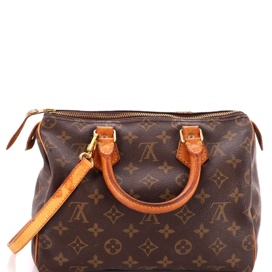 Louis Vuitton Speedy Handbag Canvas 25