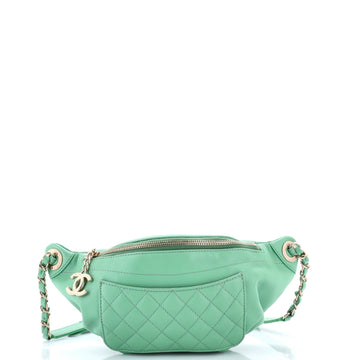 Chanel Bi Classic Waist Bag Quilted