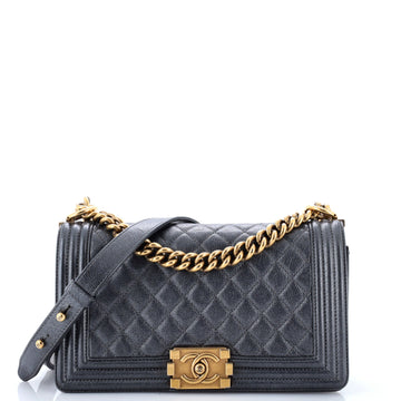 Chanel Boy Flap Bag Quilted Iridescent