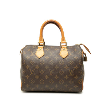 Louis Vuitton Speedy 25 Pre-Loved Boston