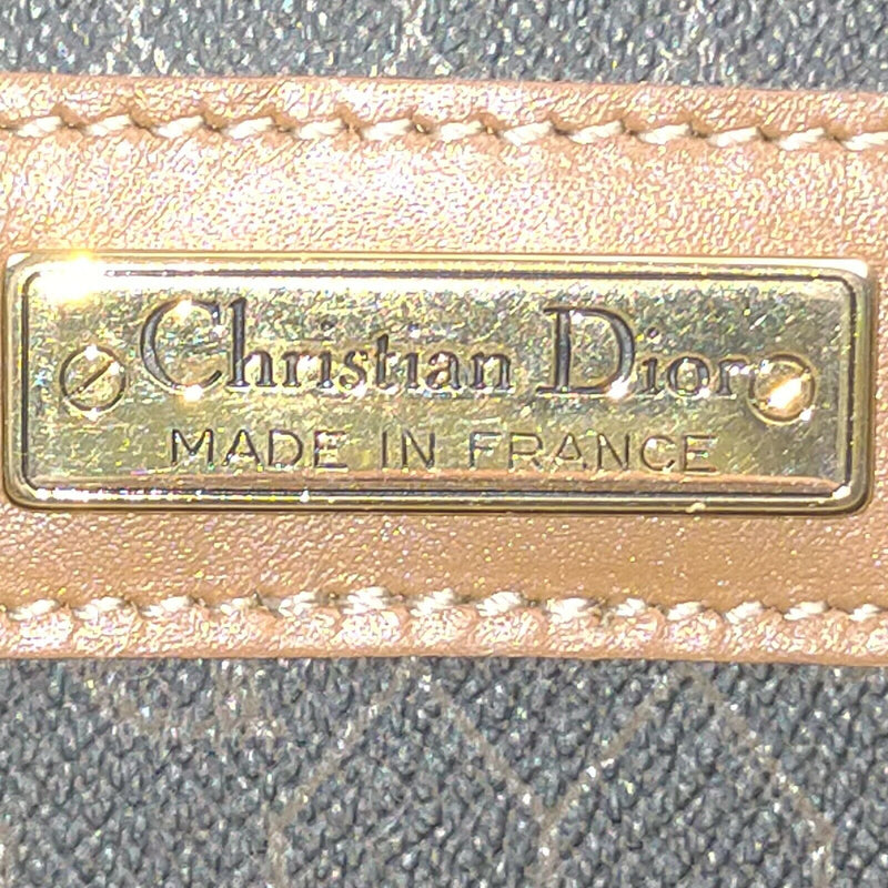 Christian Dior Travel Bag Pvc Dark