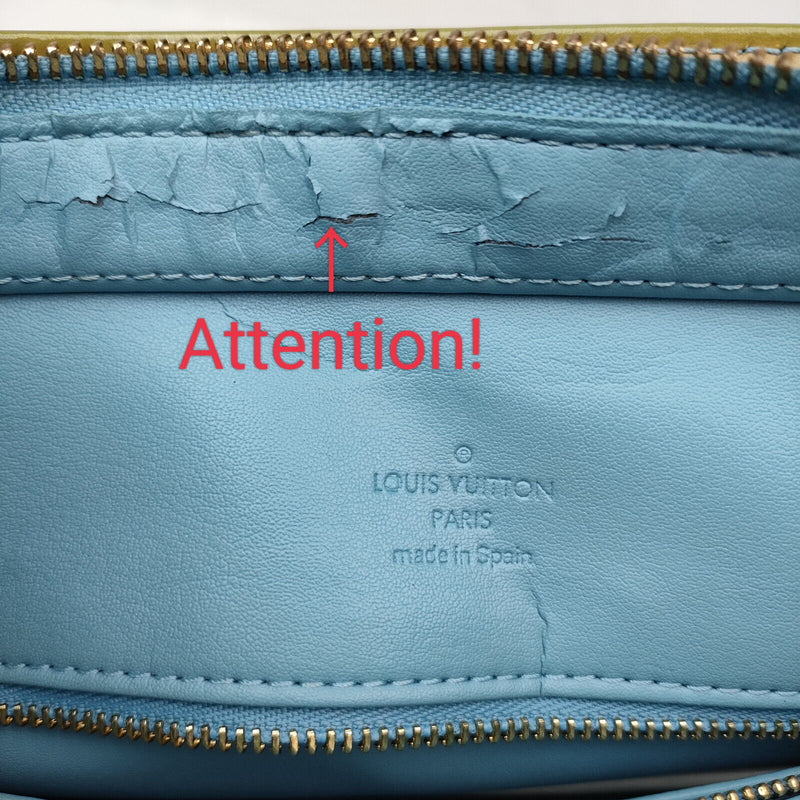 Louis Vuitton Hand Bag Houston