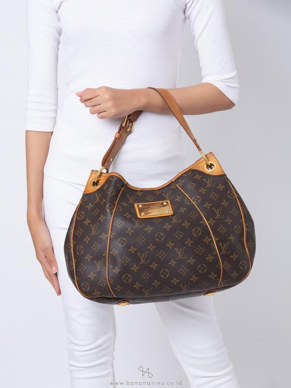 Louis Vuitton Galliera Pm Hand Bag
